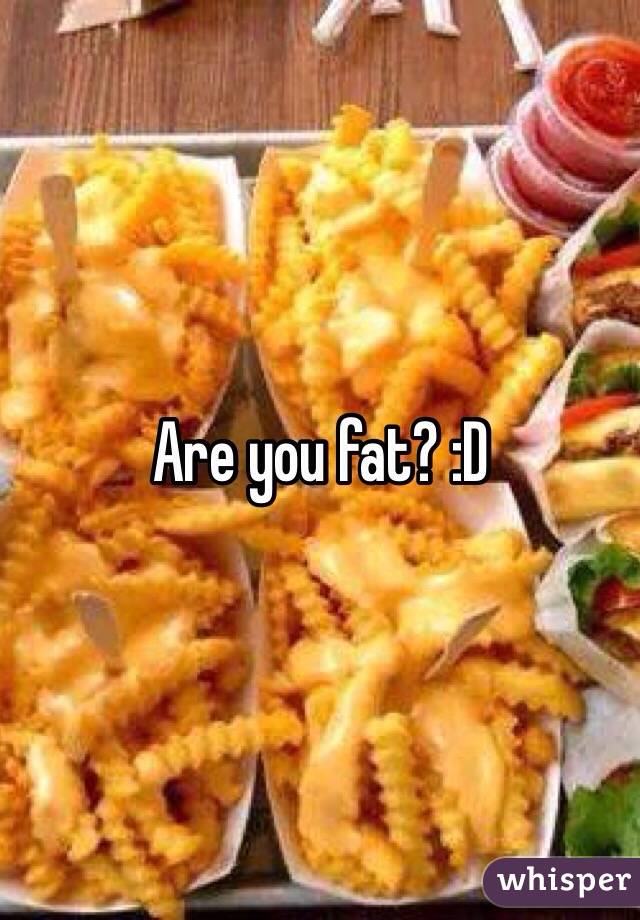 Are you fat? :D