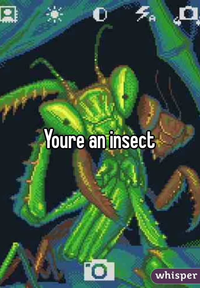 Youre an insect