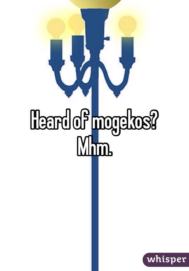 Heard of mogekos?
Mhm.