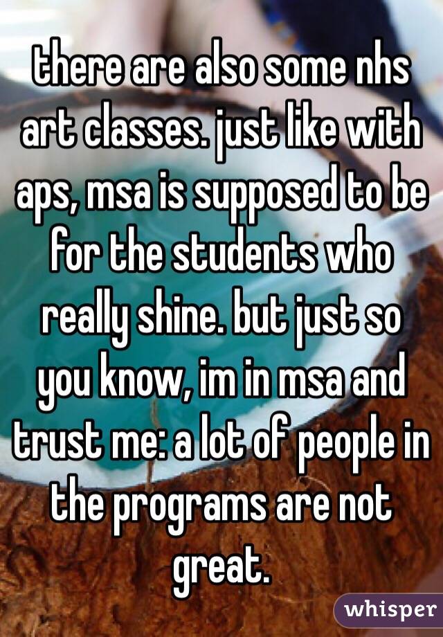 there are also some nhs art classes. just like with aps, msa is supposed to be for the students who really shine. but just so you know, im in msa and trust me: a lot of people in the programs are not great. 