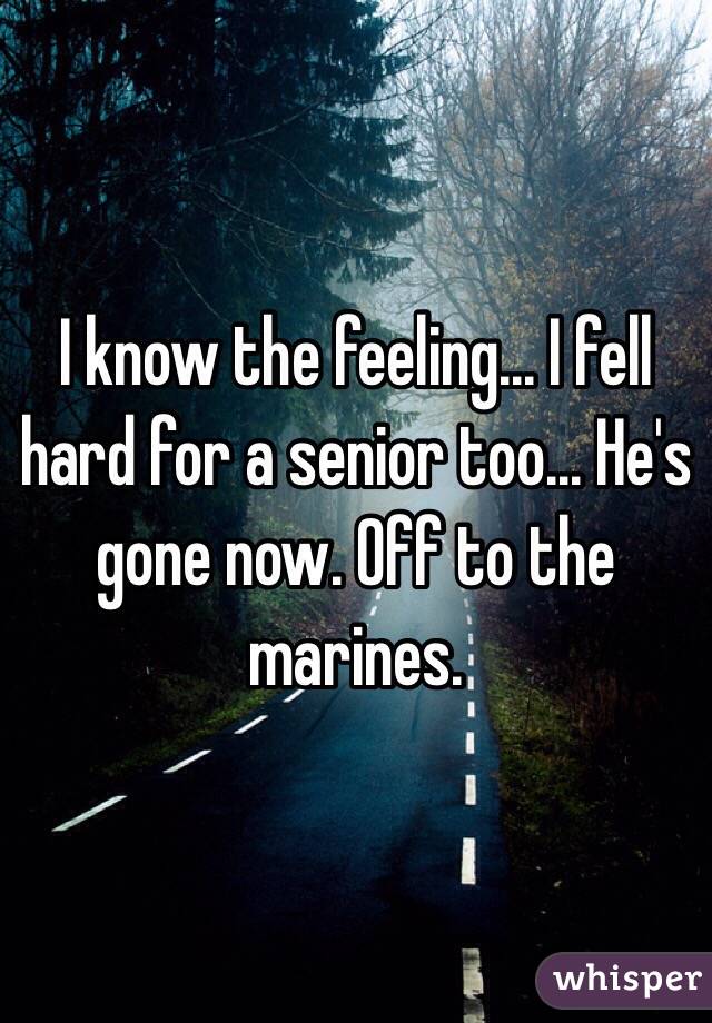 I know the feeling... I fell hard for a senior too... He's gone now. Off to the marines. 