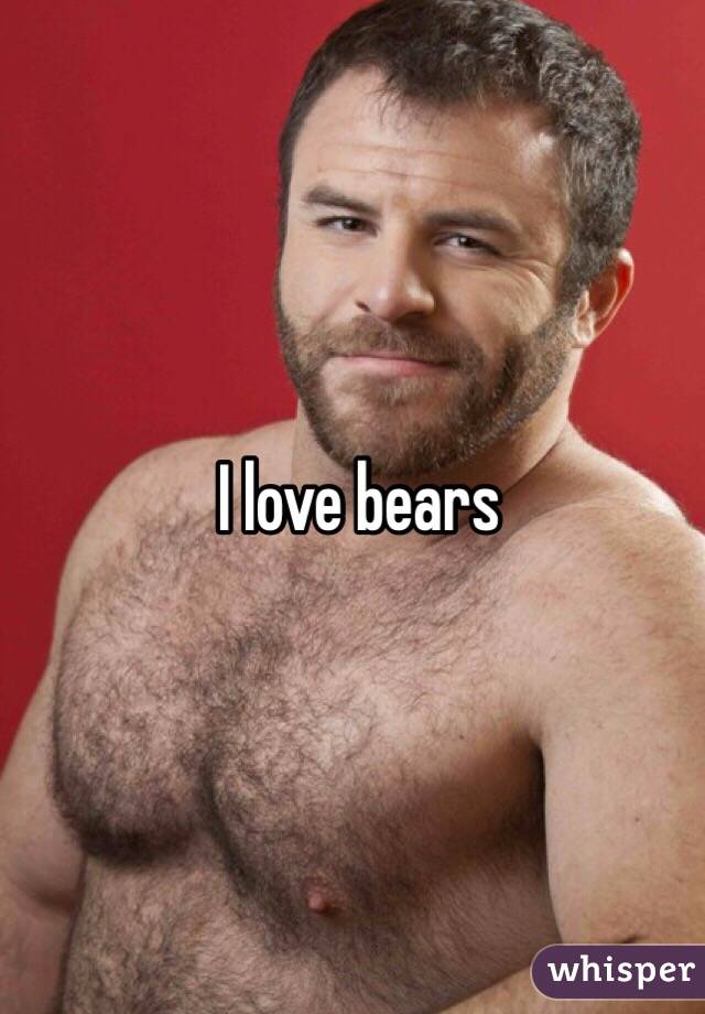 I <b>love bears</b> - 0517f1fe4828c0252352196c08e4c9f4415bdd-wm