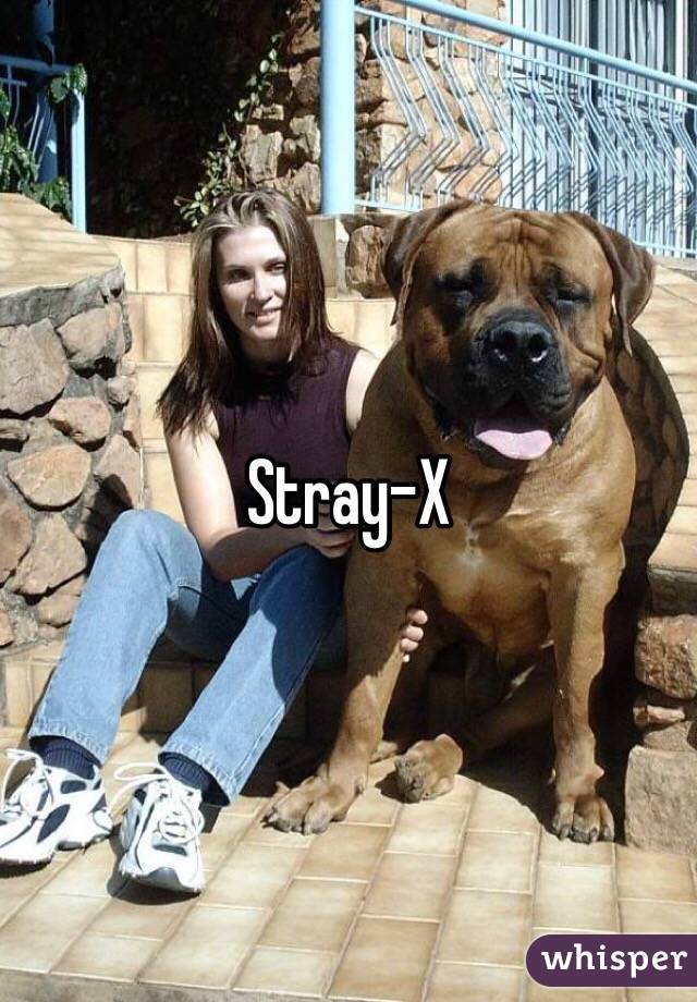 Stray-X