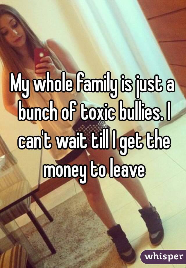 My whole family is just a bunch of toxic bullies. I can't wait till I get the money to leave