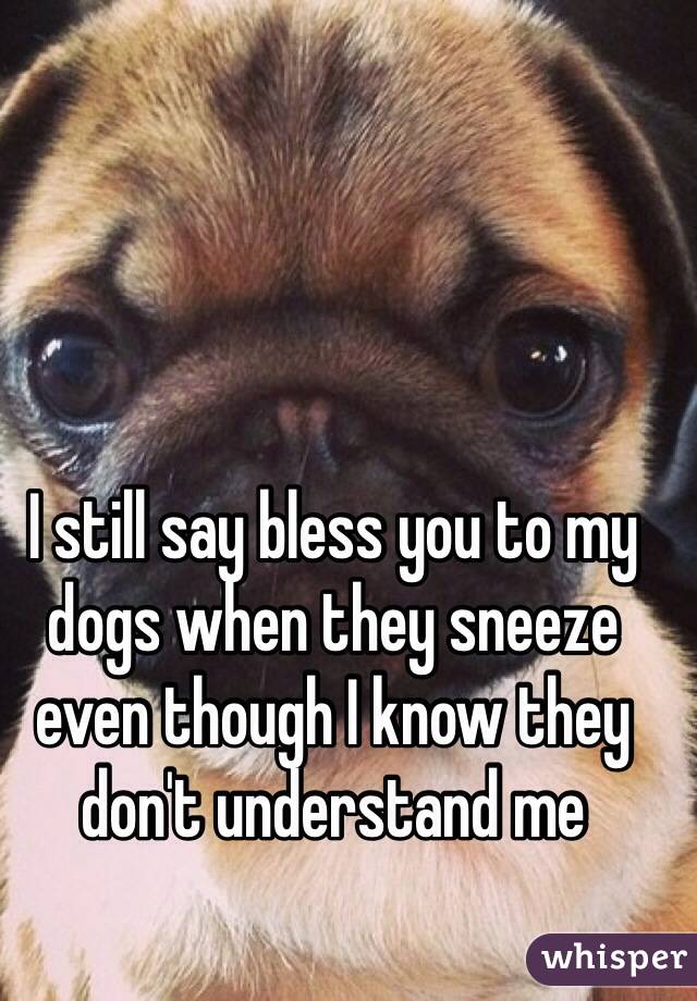 I still say bless you to my dogs when they sneeze even though I know they don't understand me 