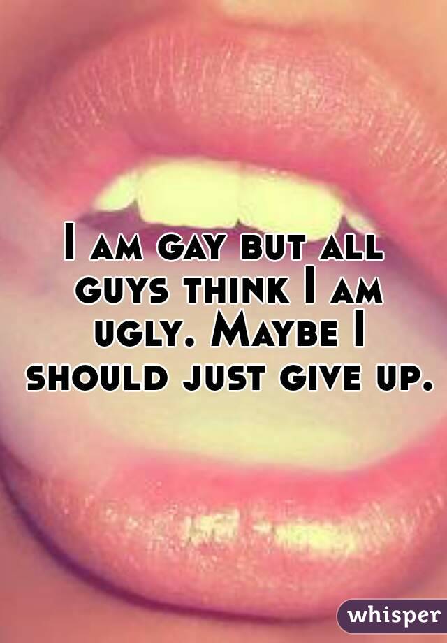I am gay but all guys think I am ugly. Maybe I should just give up.