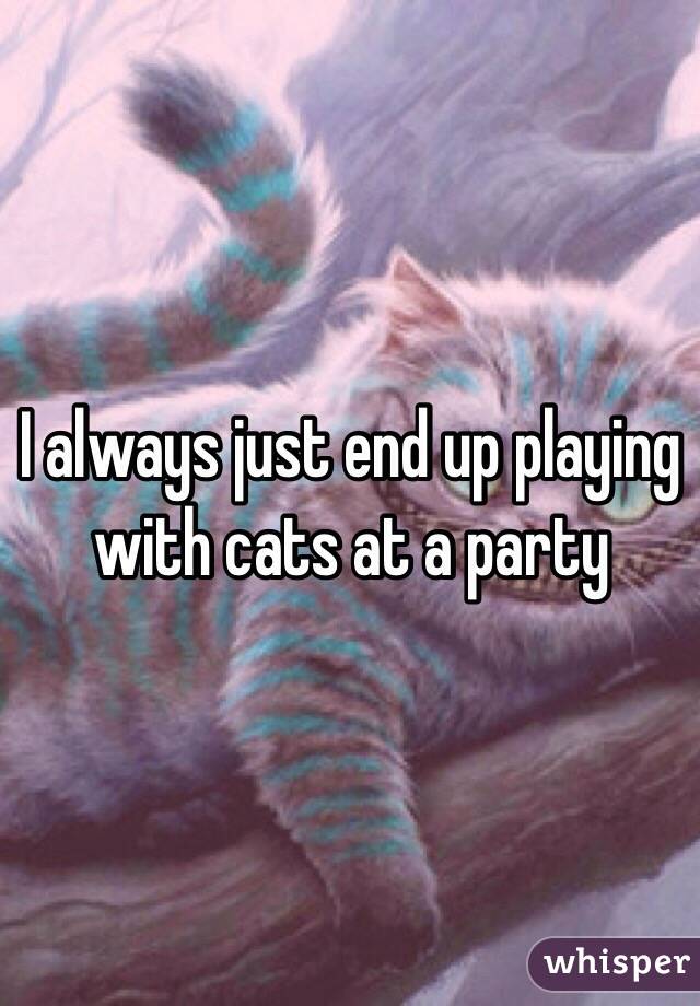 I always just end up playing with cats at a party