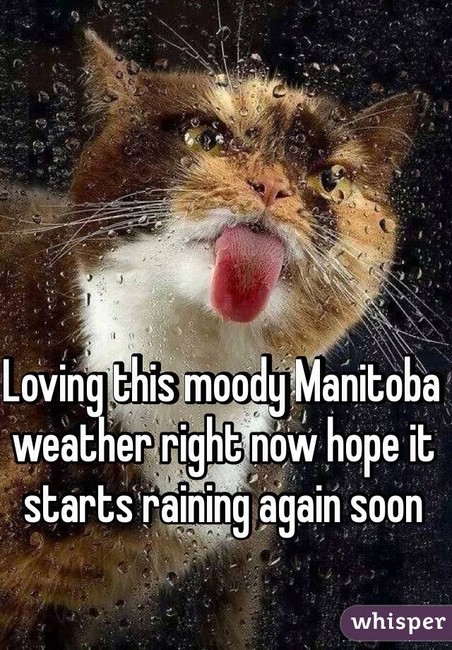Loving this moody Manitoba weather right now hope it starts raining again soon
