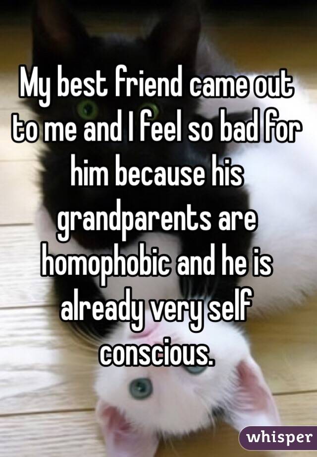 My best friend came out to me and I feel so bad for him because his grandparents are homophobic and he is already very self conscious. 