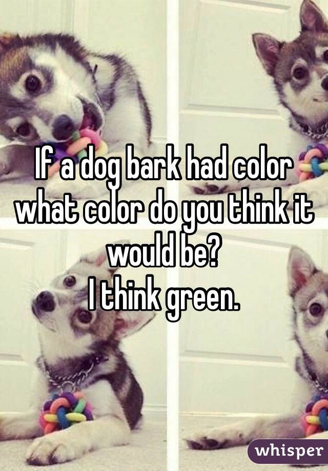 If a dog bark had color what color do you think it would be?
I think green.