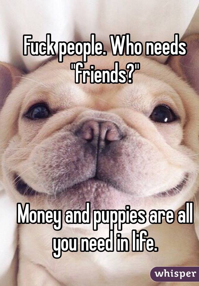 Fuck people. Who needs "friends?" 




Money and puppies are all you need in life. 