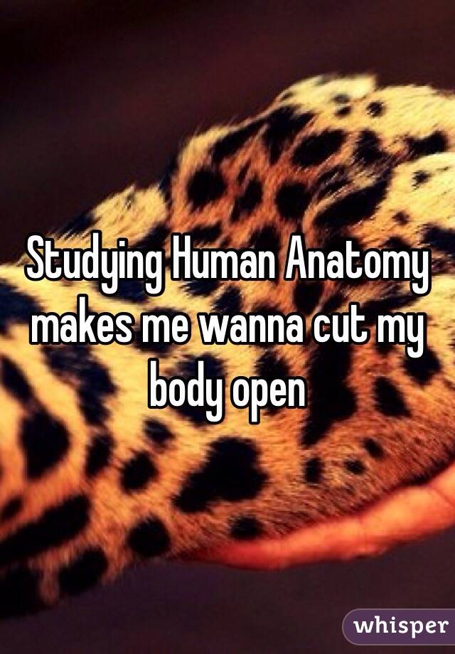  Studying Human Anatomy makes me wanna cut my body open 