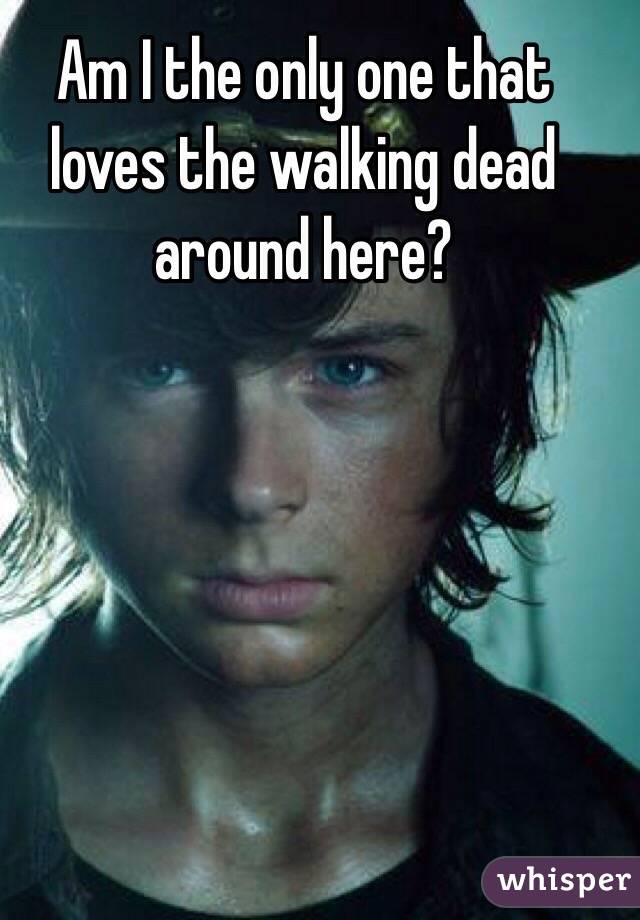 Am I the only one that loves the walking dead around here?