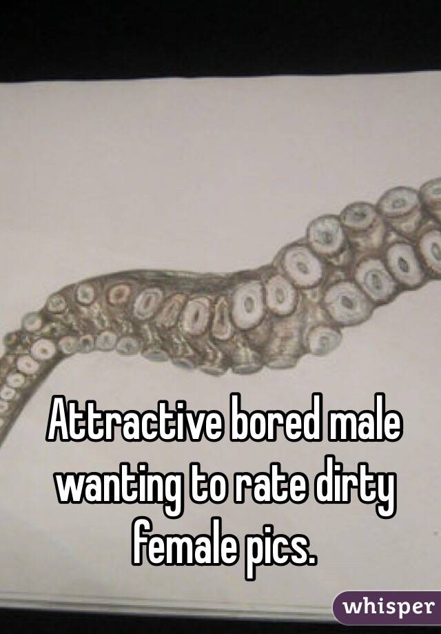 Attractive bored male wanting to rate dirty female pics. 