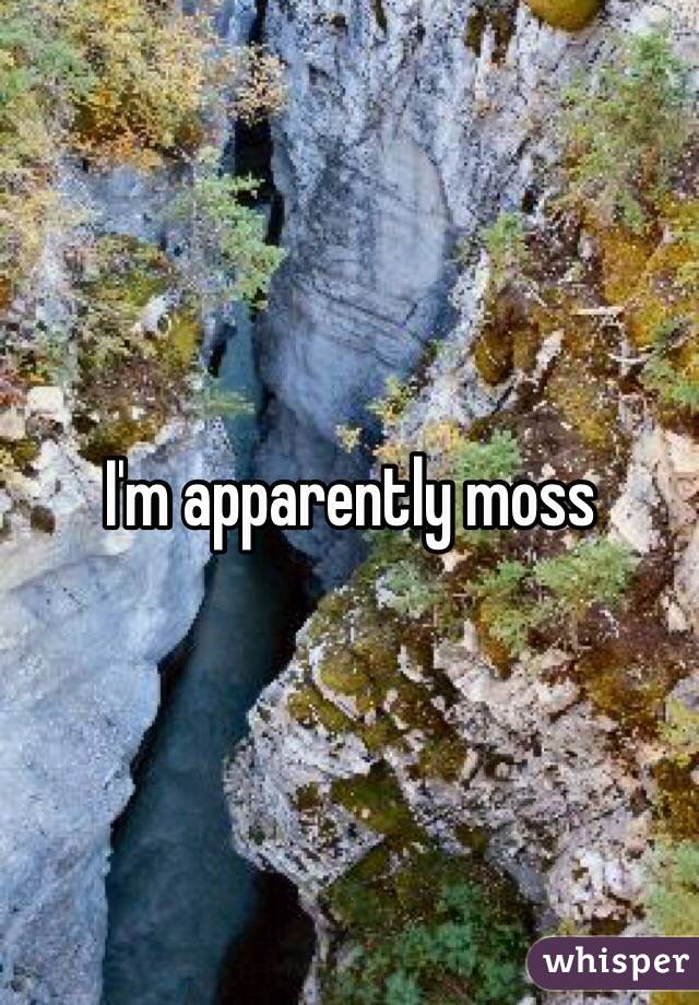 I'm apparently moss