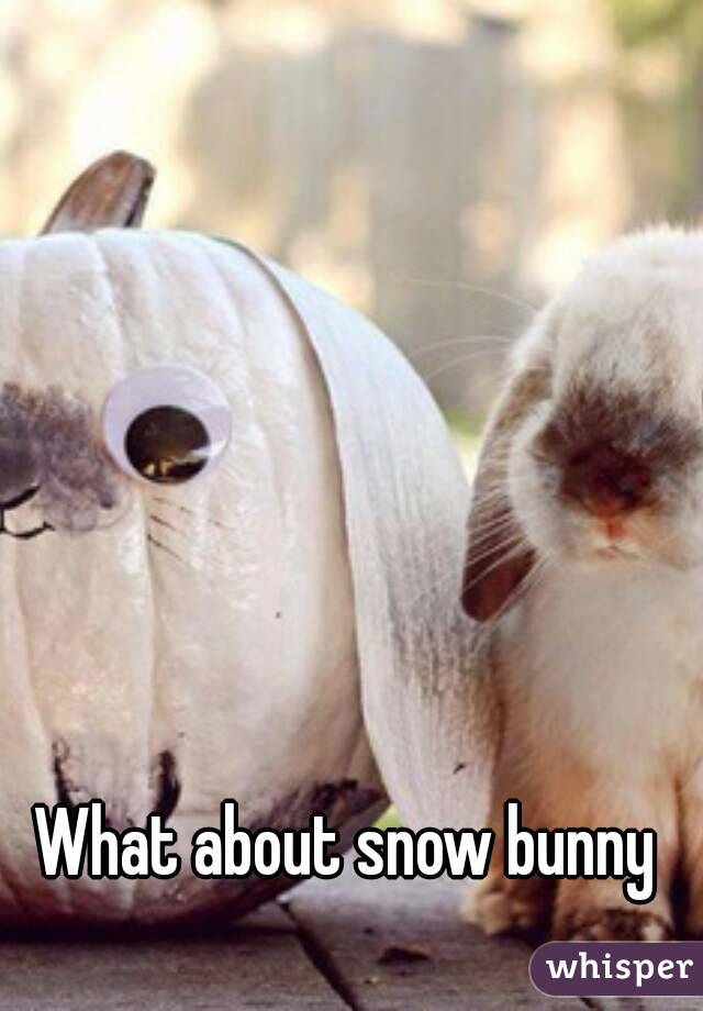 What about snow bunny