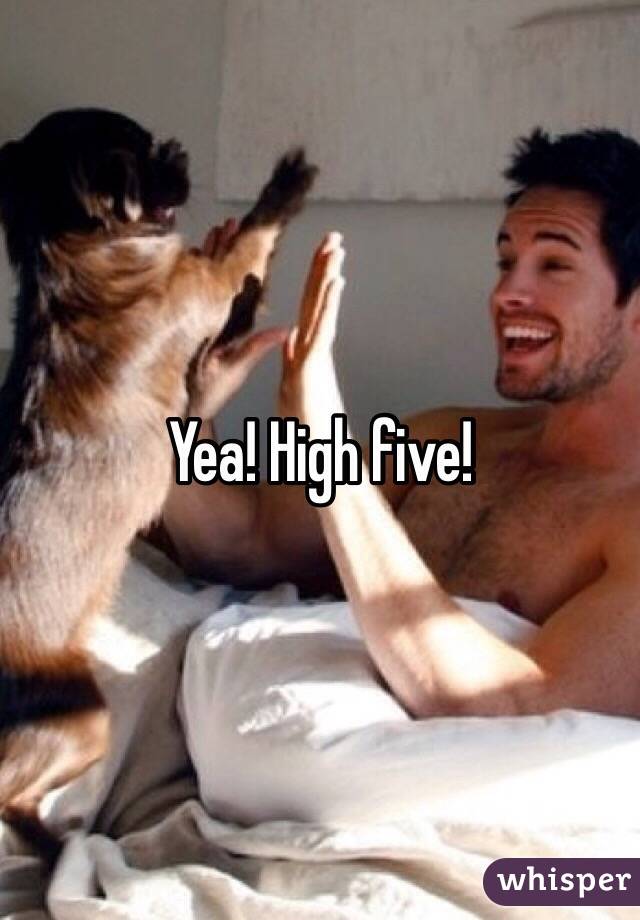 Yea! High five!