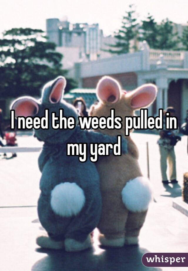 I need the weeds pulled in my yard