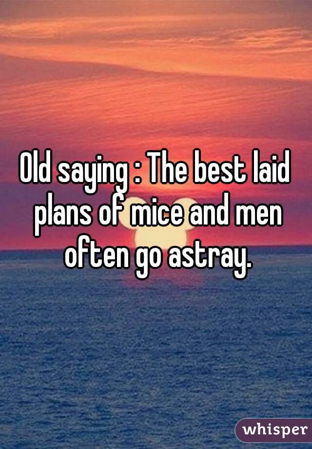 Old saying : The best laid plans of mice and men often go astray.