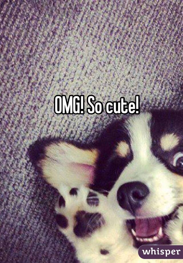 OMG! So cute!
