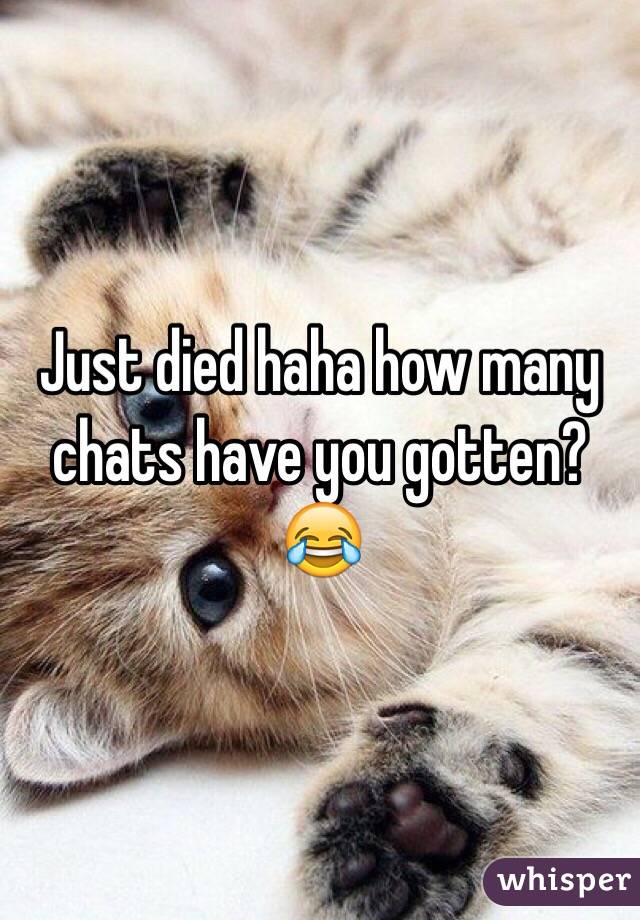 Just died haha how many chats have you gotten?😂