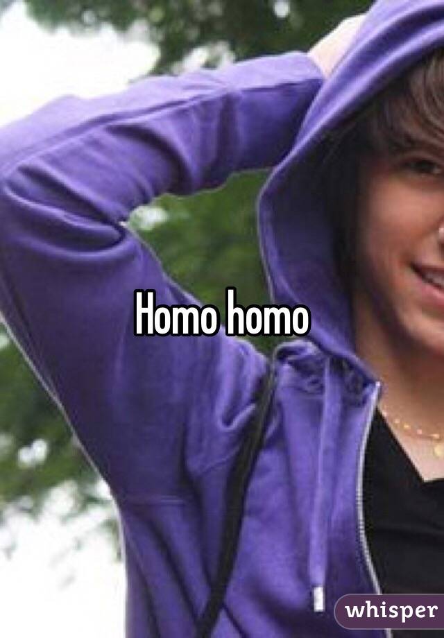 Homo homo 