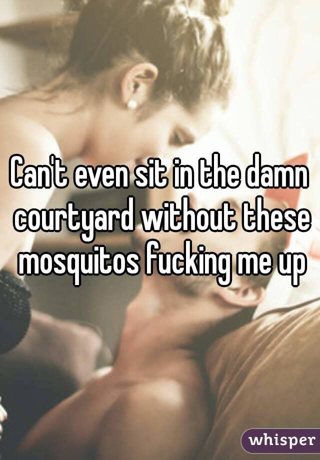 Can't even sit in the damn courtyard without these mosquitos fucking me up