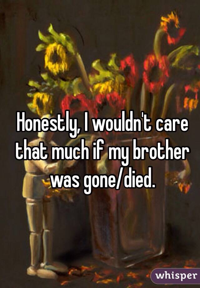 Honestly, I wouldn't care that much if my brother was gone/died. 