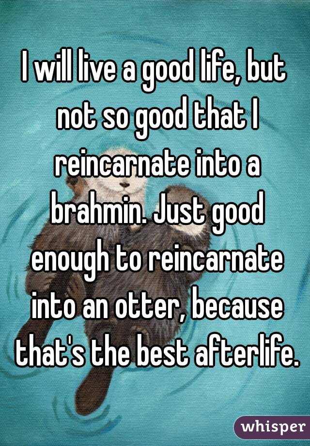 I will live a good life, but not so good that I reincarnate into a brahmin. Just good enough to reincarnate into an otter, because that's the best afterlife.