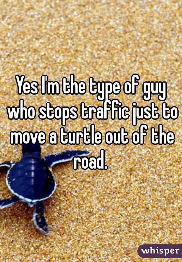 Yes I'm the type of guy who stops traffic just to move a turtle out of the road. 