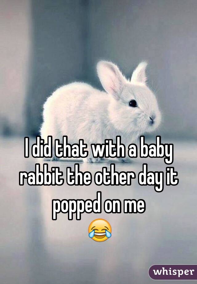 I did that with a baby rabbit the other day it 
popped on me
😂