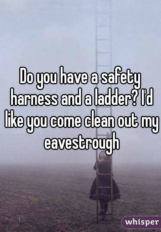 Do you have a safety harness and a ladder? I'd like you come clean out my eavestrough