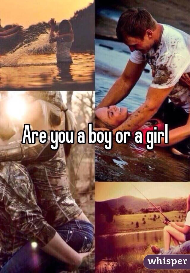 Are you a boy or a girl 