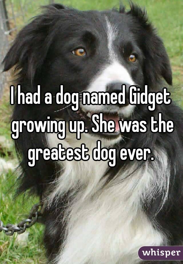 I had a dog named Gidget growing up. She was the greatest dog ever. 