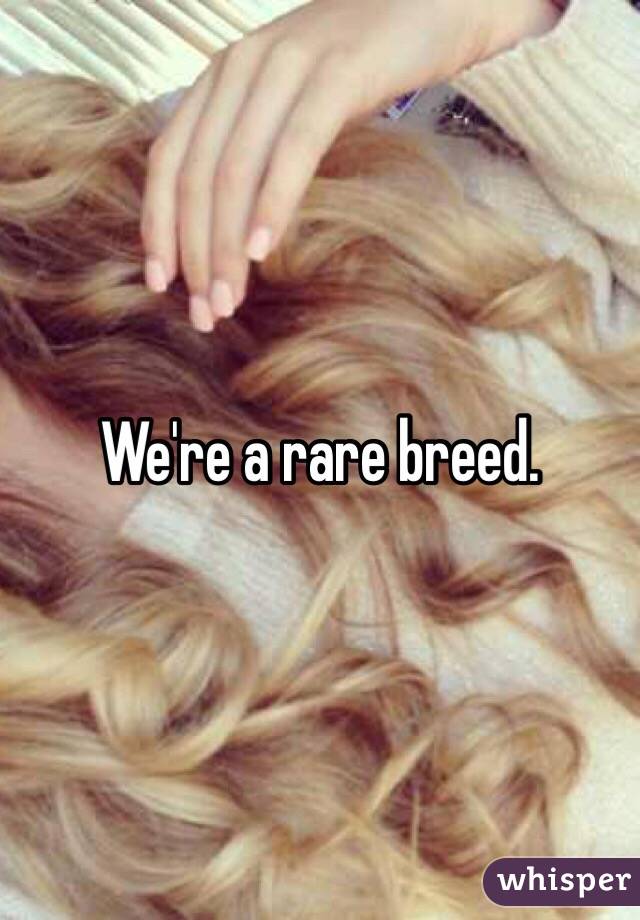 We're a rare breed.