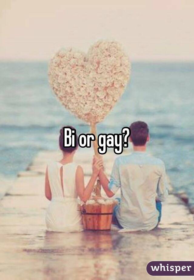 Bi or gay?