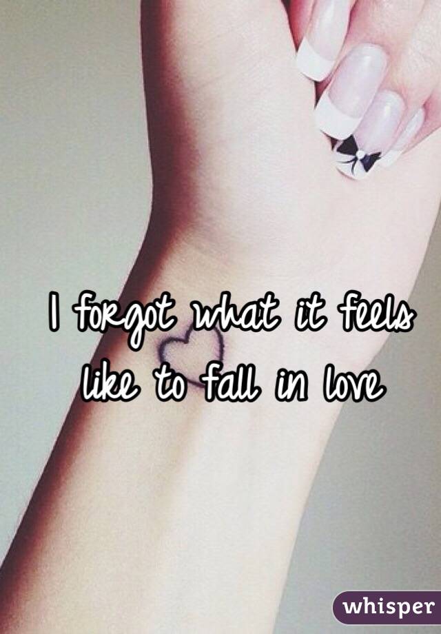 I forgot what it feels like to fall in love 