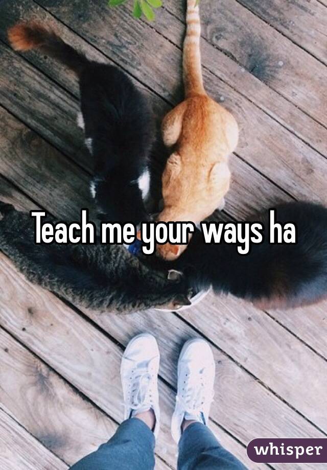 Teach me your ways ha