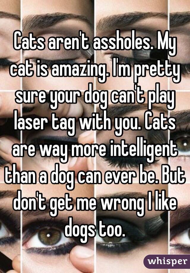 Cats aren't assholes. My cat is amazing. I'm pretty sure your dog can't play laser tag with you. Cats are way more intelligent than a dog can ever be. But don't get me wrong I like dogs too. 