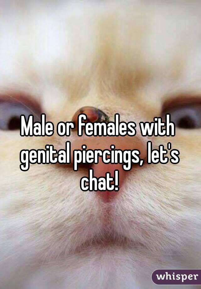 Male or females with genital piercings, let's chat!
