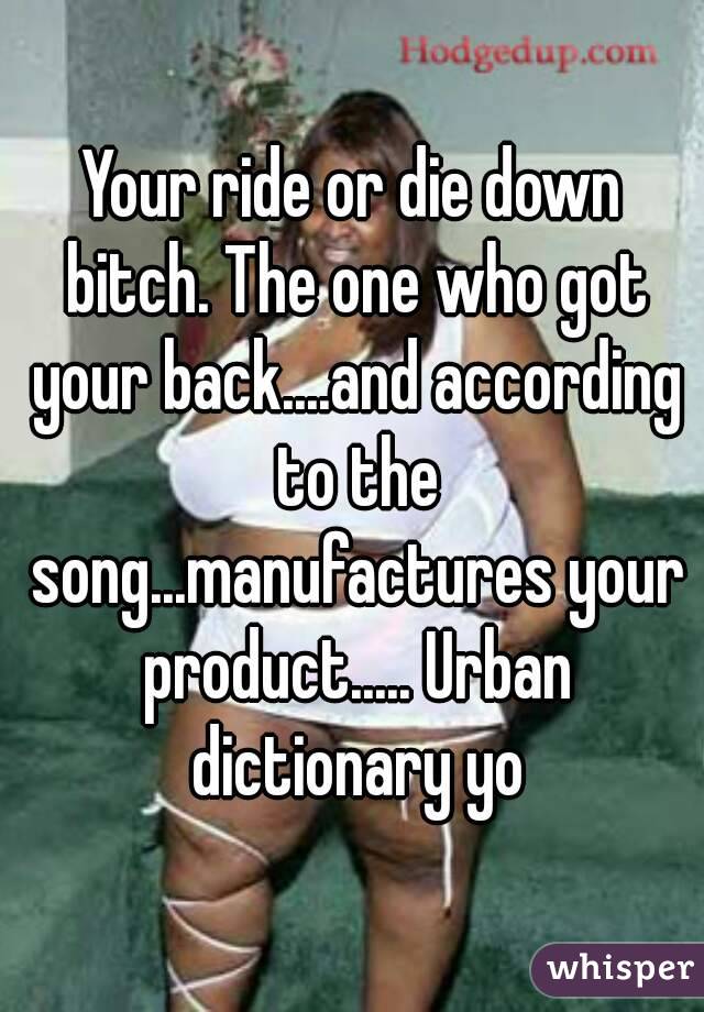 Your ride or die down bitch. The one who got your back....and according to the song...manufactures your product..... Urban dictionary yo