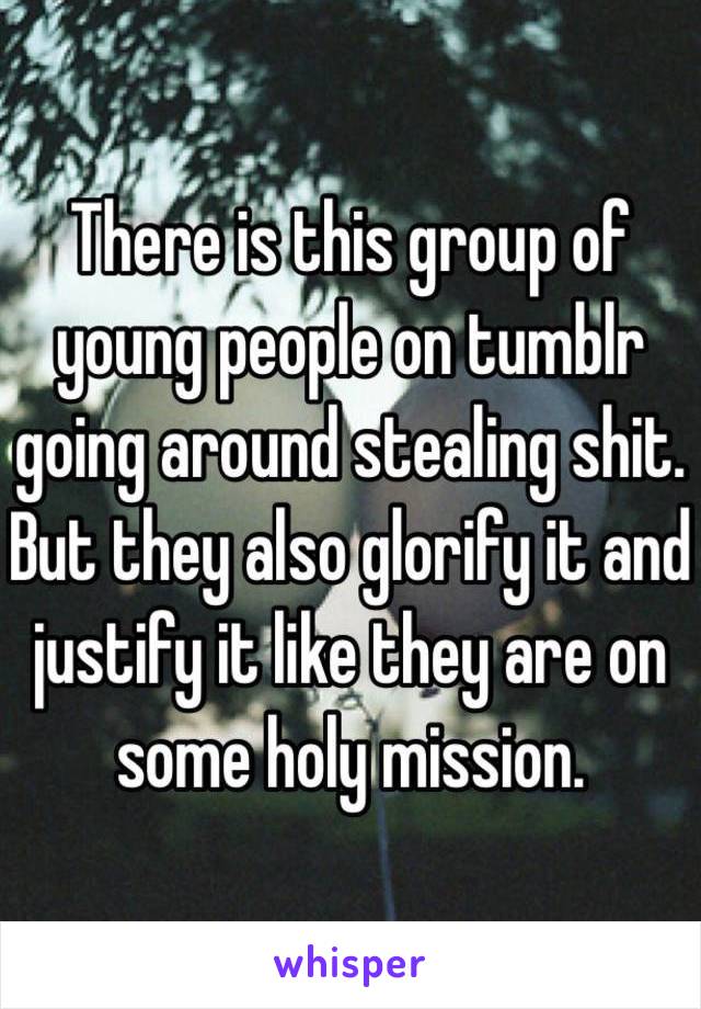 There is this group of young people on tumblr going around stealing shit. But they also glorify it and justify it like they are on some holy mission. 