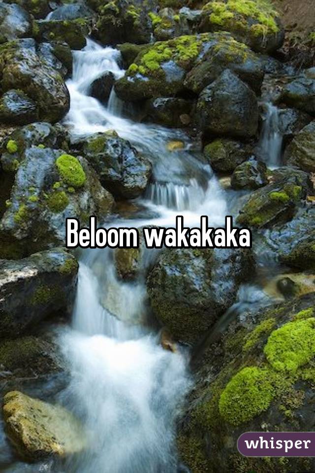 Beloom wakakaka