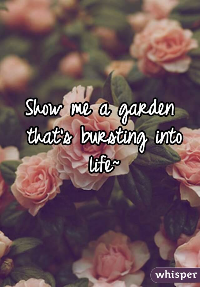 Show me a garden that's bursting into life~