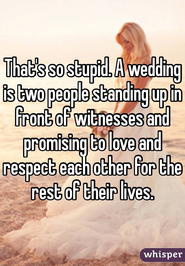 That's so stupid. A wedding is two people standing up in front of witnesses and promising to love and respect each other for the rest of their lives.