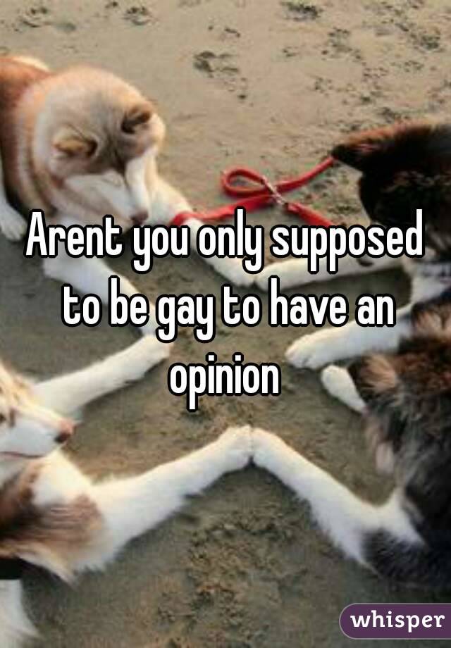 Arent you only supposed to be gay to have an opinion 