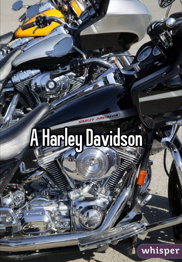 A Harley Davidson 