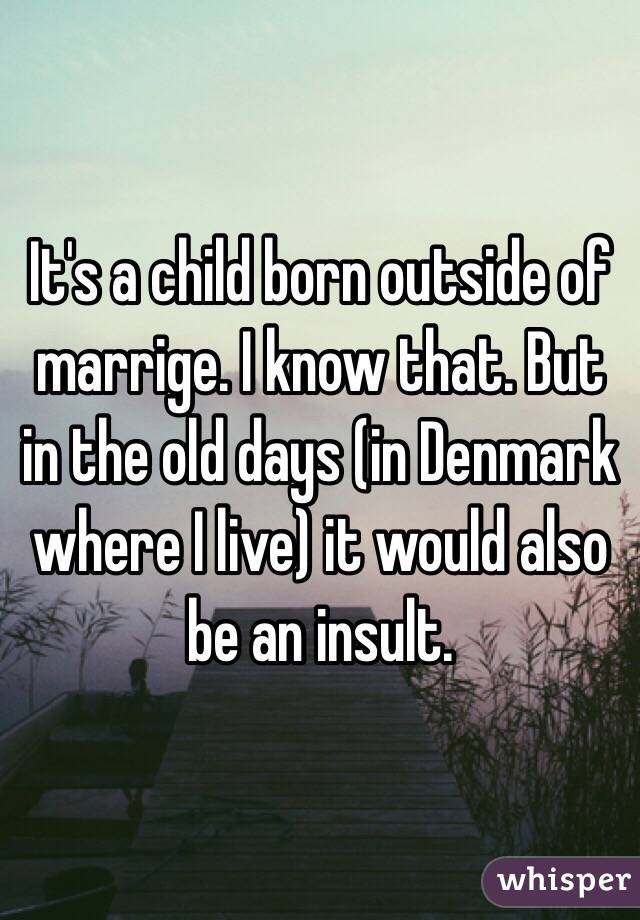 It's a child born outside of marrige. I know that. But in the old days (in Denmark where I live) it would also be an insult.