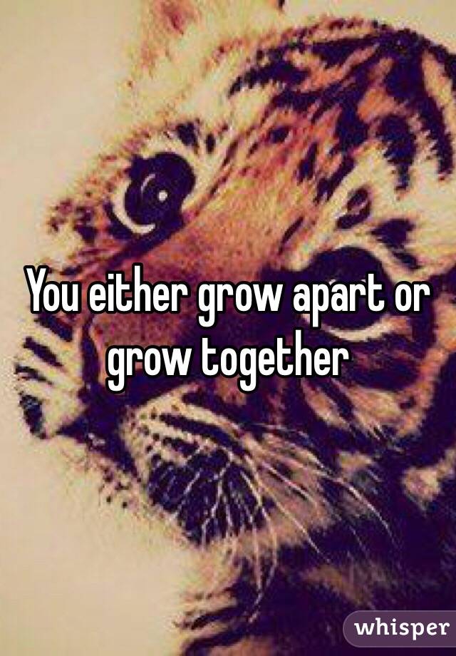 You either grow apart or grow together 