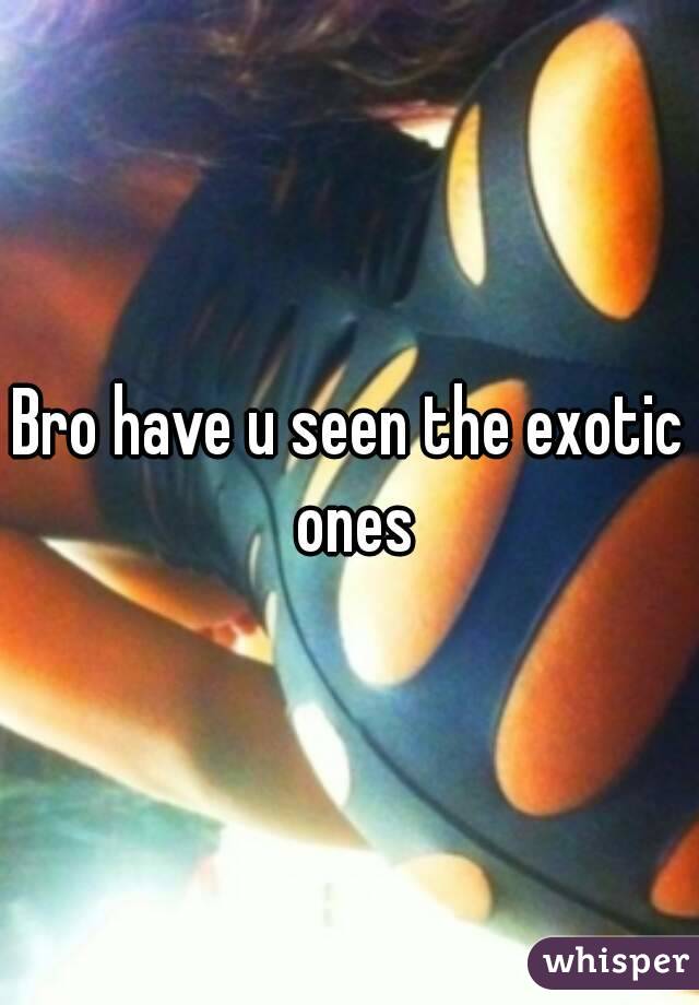 Bro have u seen the exotic ones